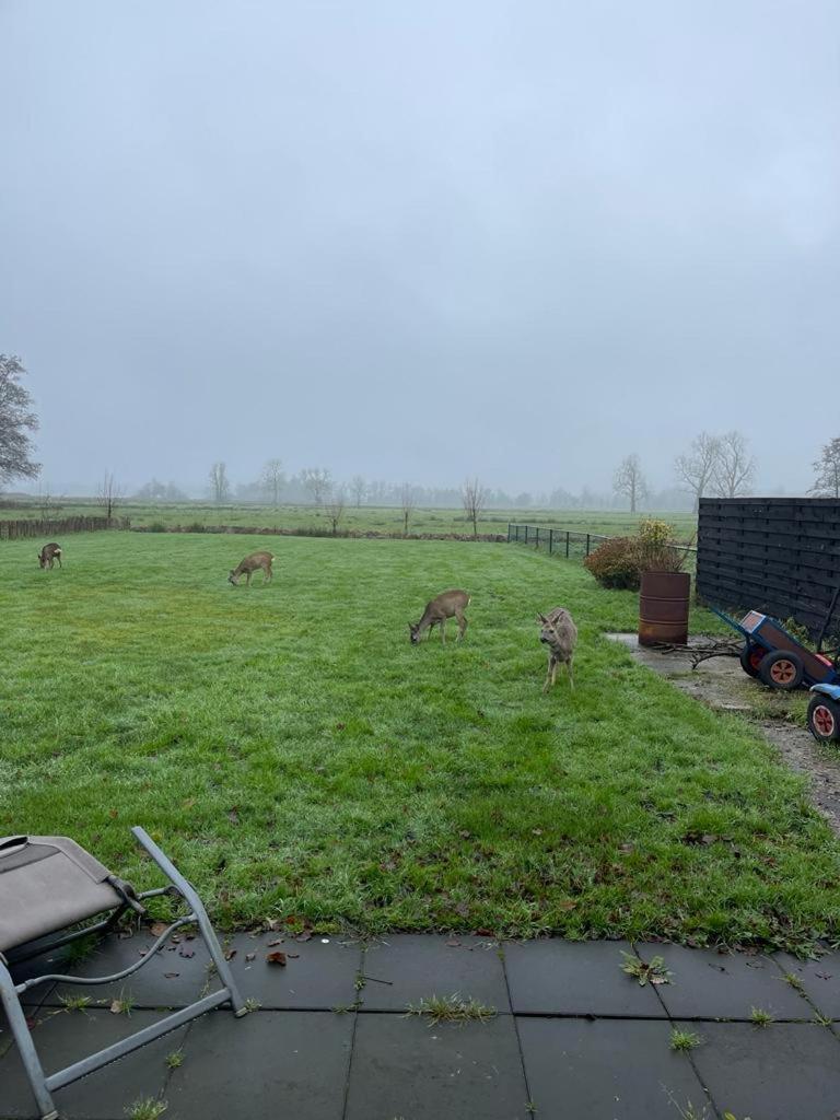Blokhut Klein Meerzicht Haren  Exteriér fotografie